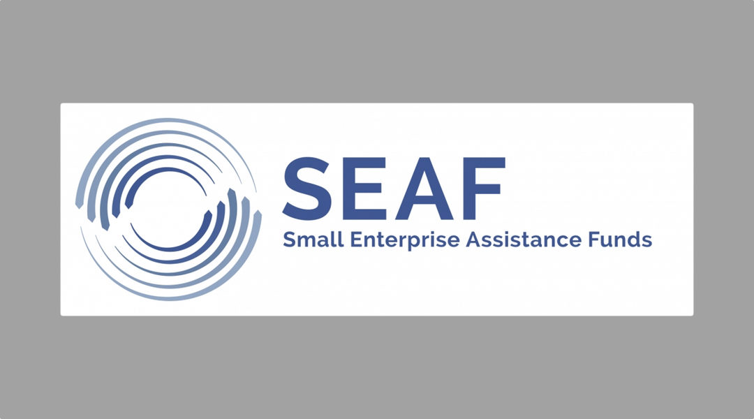 SEAF Launches Global Facility To Invest In Growing Smes
